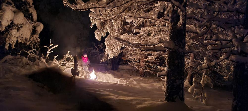 Reindeertours Lapland